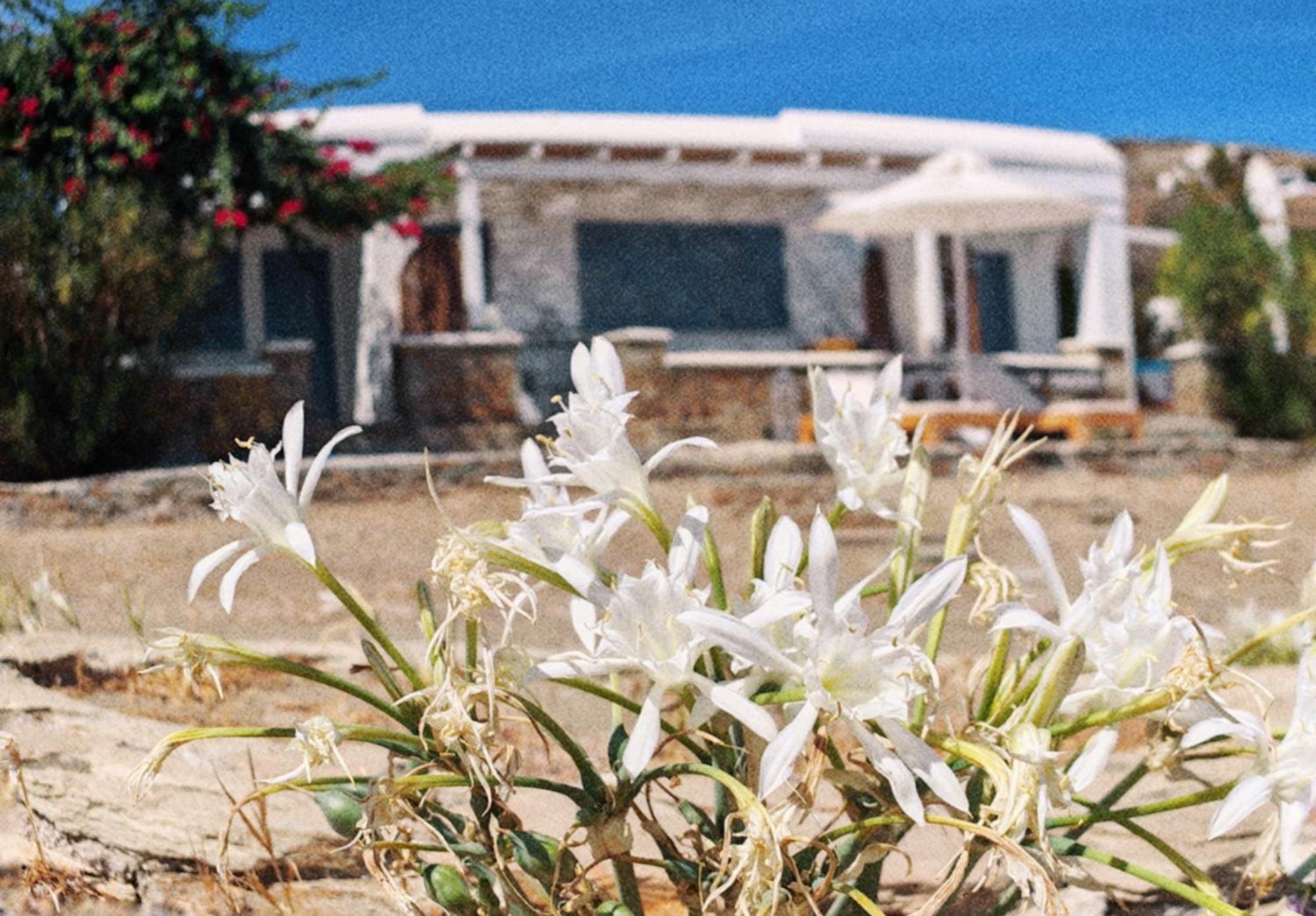 Diana'S Luxury Suites คิทนอส ภายนอก รูปภาพ